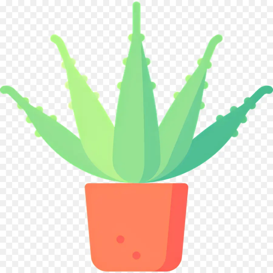 Aloe Vera，Plante En Pot PNG