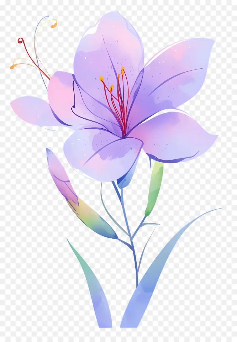 Fleur De Safran，Fleur Violette PNG