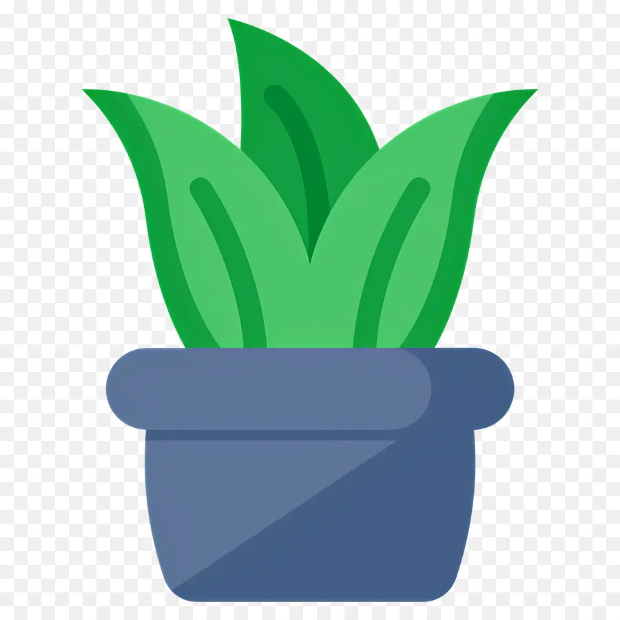 Aloe Vera，Plante En Pot PNG