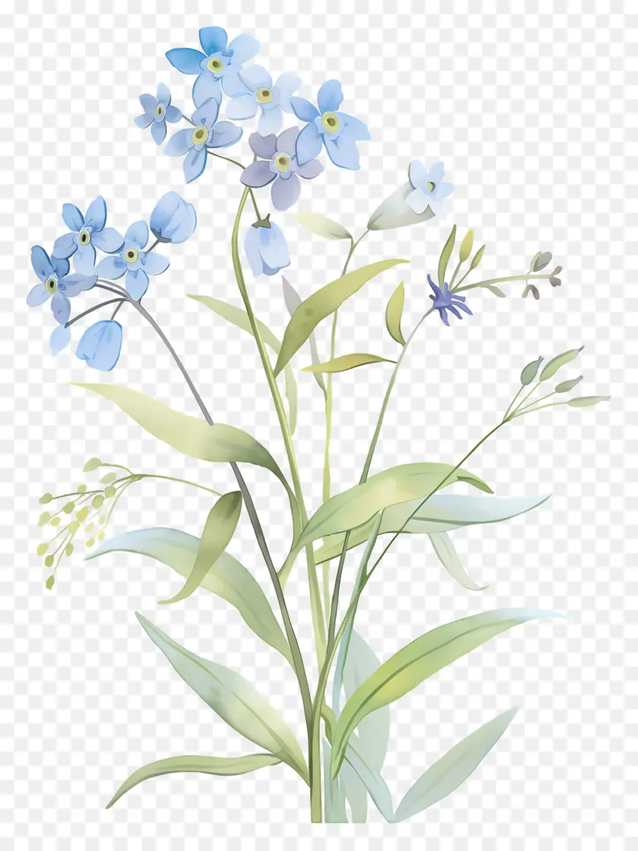 Ne M'oublie Pas La Fleur，Fleurs Bleues PNG