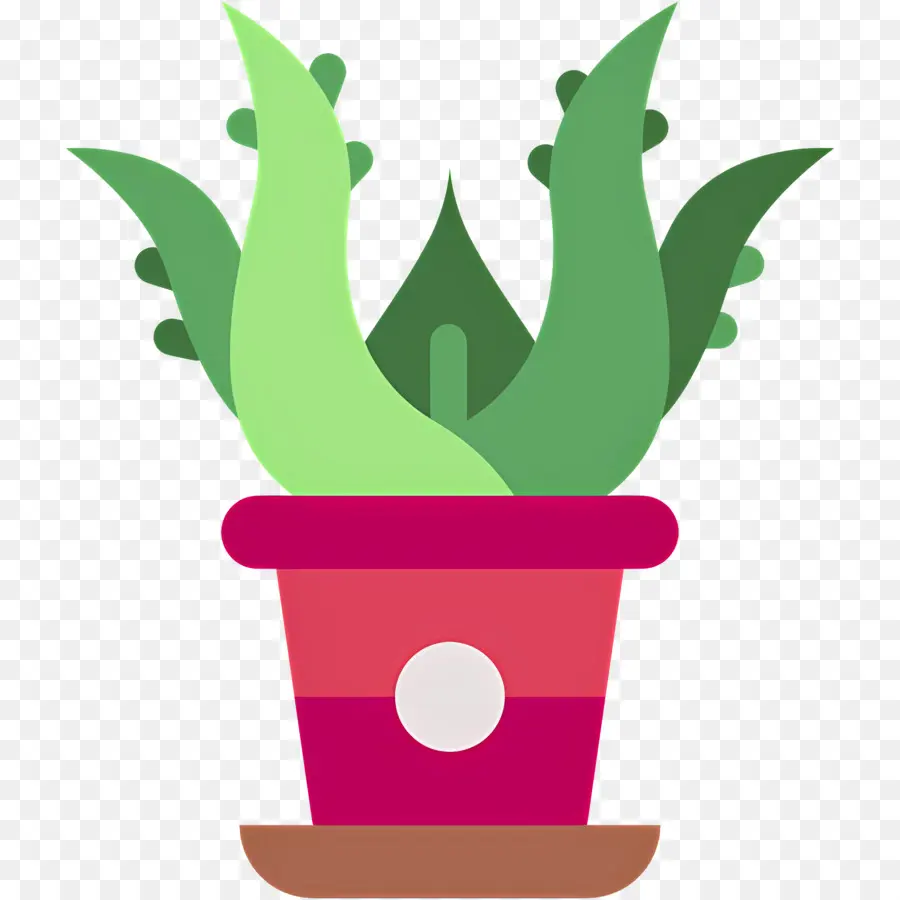 Aloe Vera，Plante En Pot PNG