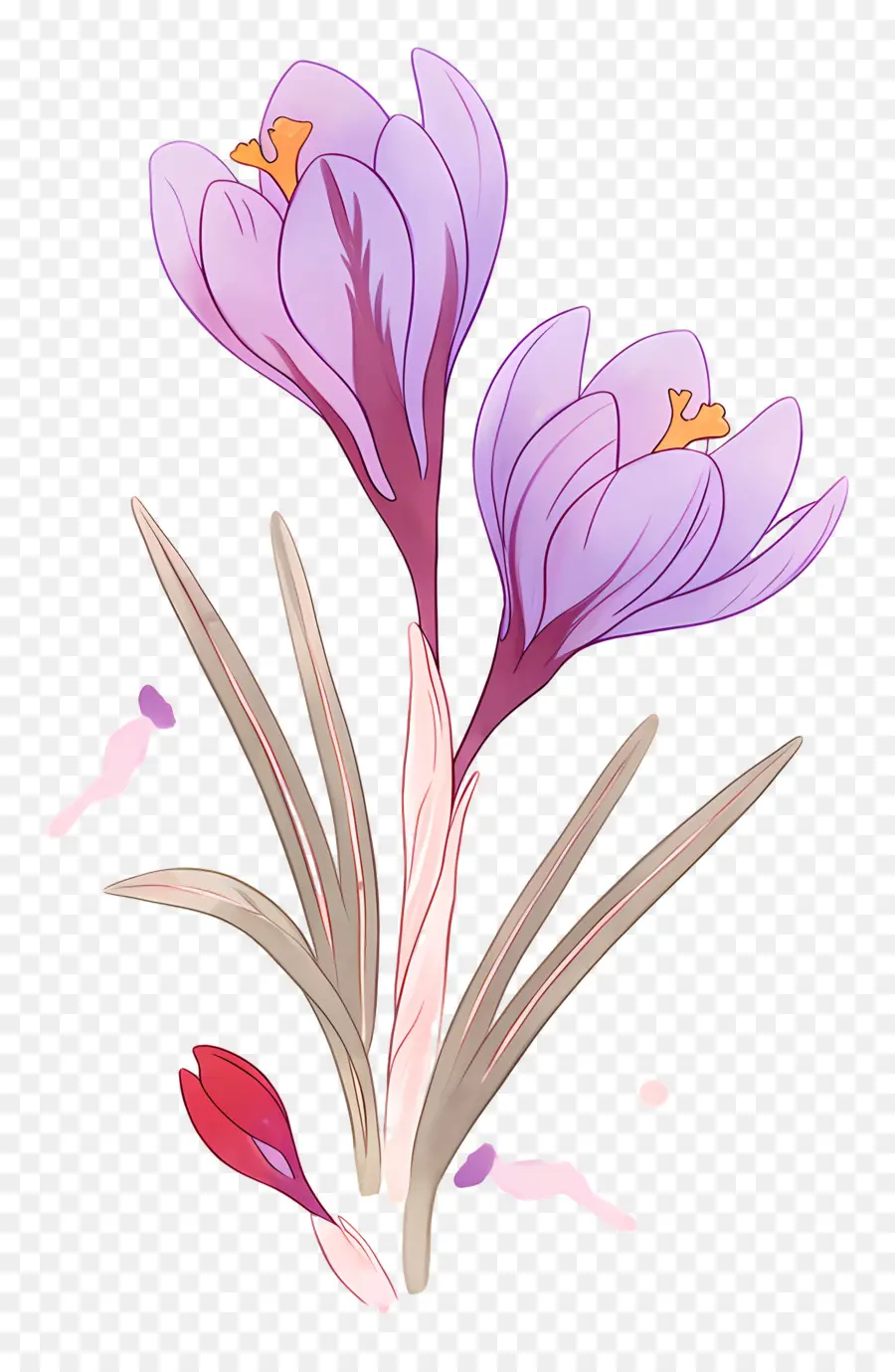 Crocus Safrané，Fleurs Violettes PNG