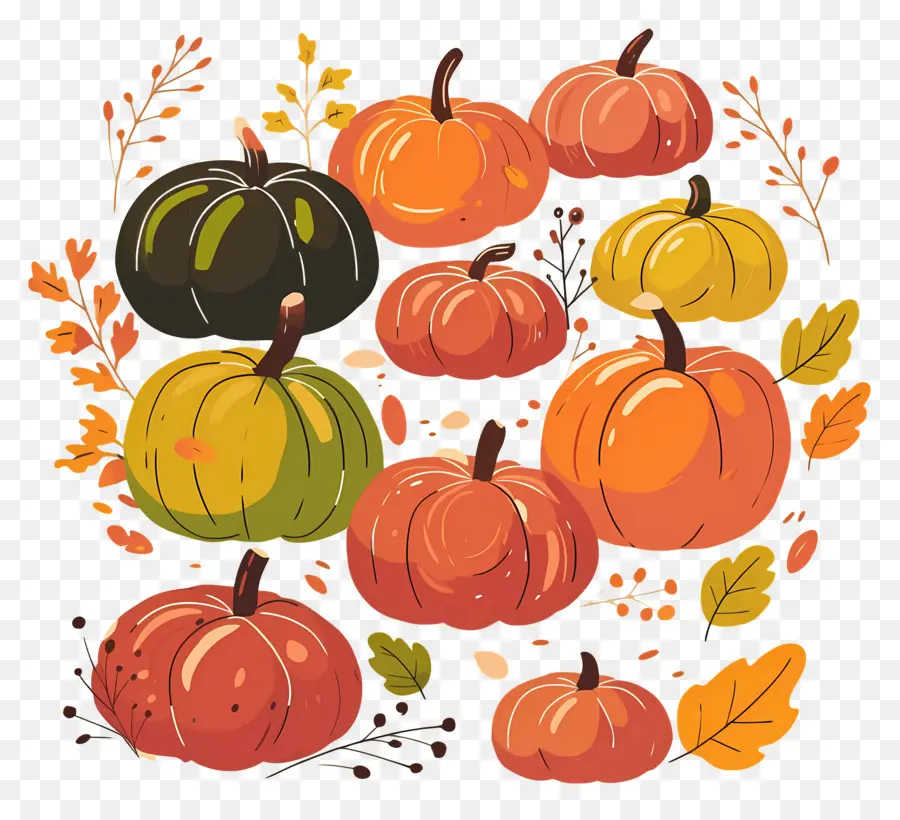 Citrouilles De Thanksgiving，Décorations D'automne PNG