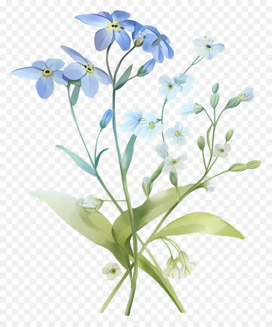 Ne M'oublie Pas La Fleur，Fleurs Bleues PNG