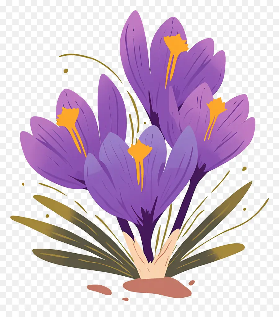 Crocus Safrané，Fleurs Violettes PNG