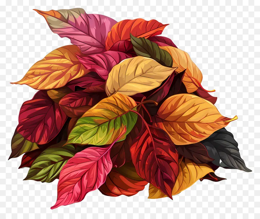 Tas De Feuilles D'automne，Feuilles Colorées PNG