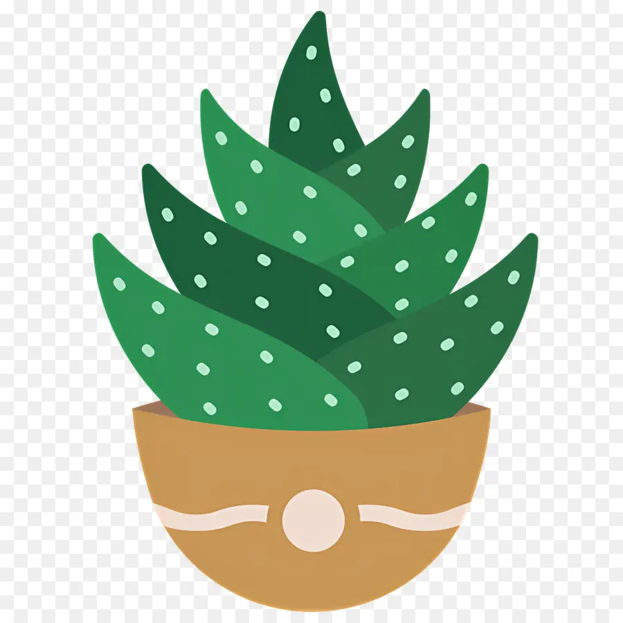 Aloe Vera，Plante En Pot PNG