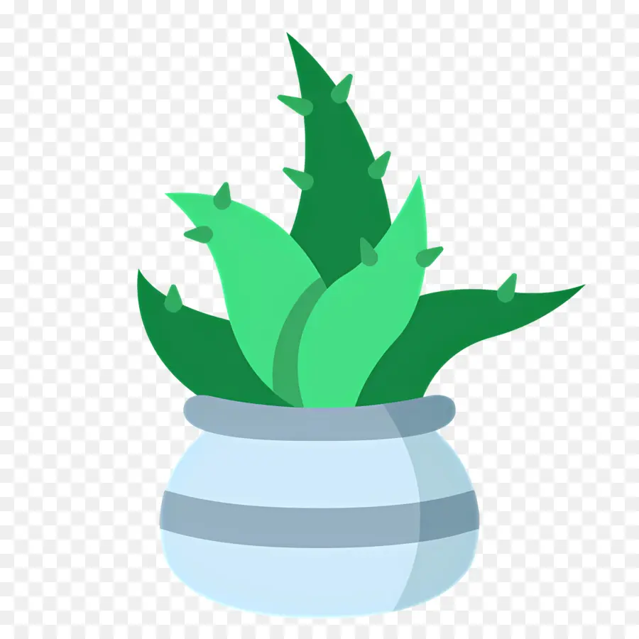 Aloe Vera，Plante En Pot PNG