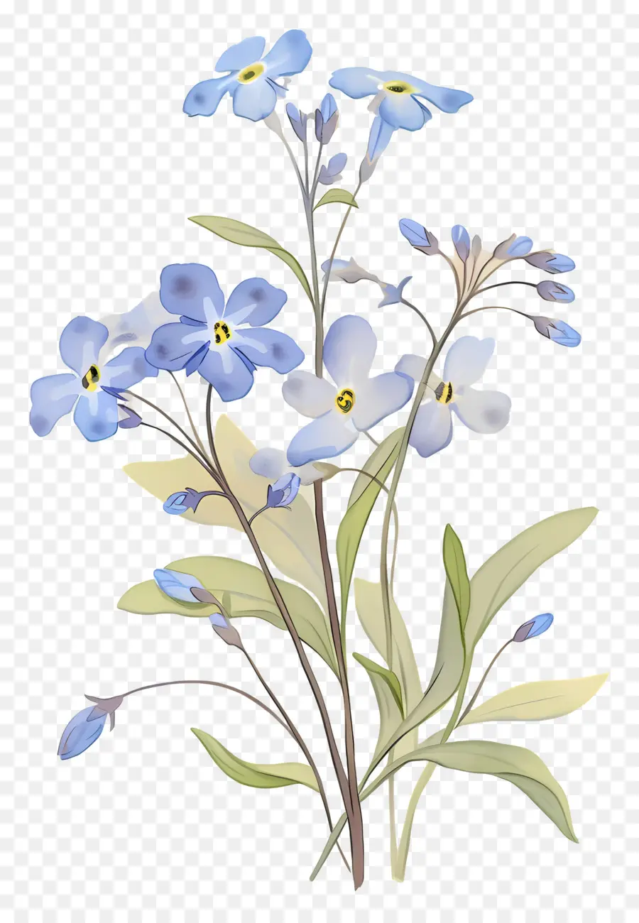 Ne M'oublie Pas La Fleur，Fleurs Bleues PNG