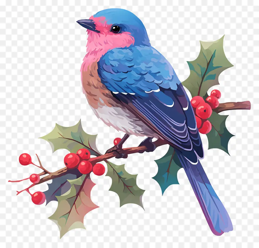 Oiseau D'hiver，Oiseau Bleu PNG