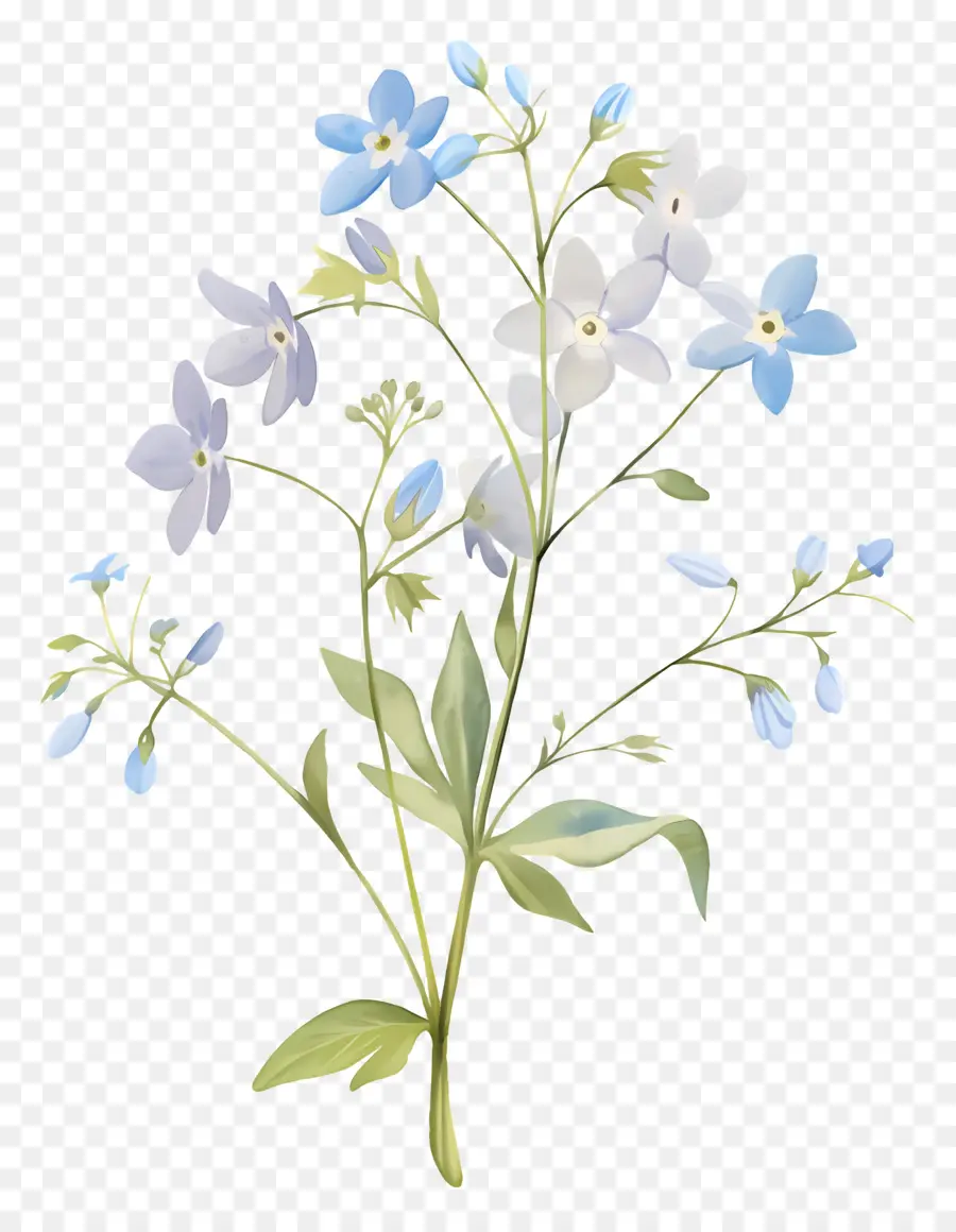 Ne M'oublie Pas La Fleur，Fleurs Bleues PNG