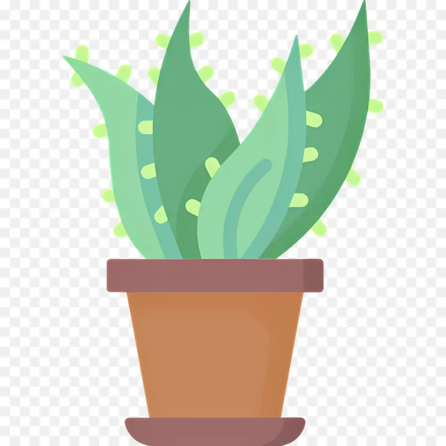 Aloe Vera，Plante En Pot PNG