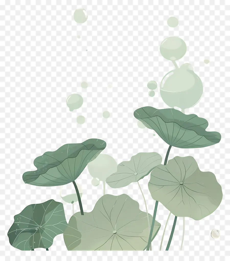 Feuilles De Lotus，Feuilles Et Fleurs De Lotus PNG