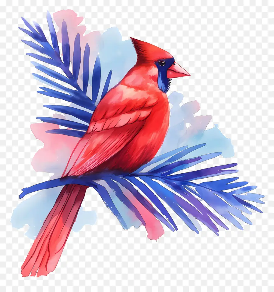 Oiseau D'hiver，Cardinal Rouge PNG