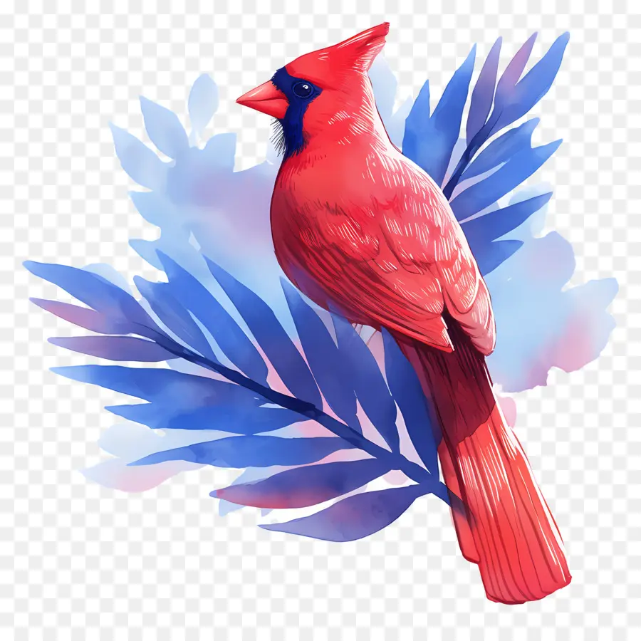 Oiseau D'hiver，Cardinal Rouge PNG