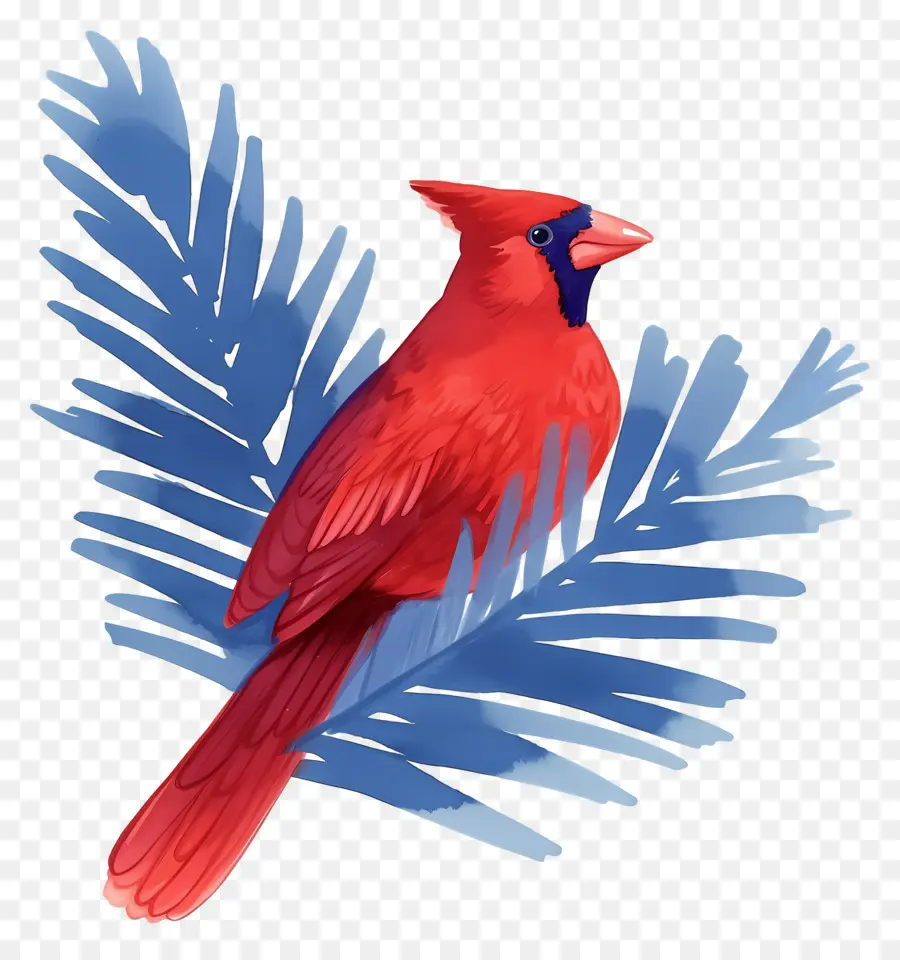 Oiseau D'hiver，Cardinal Rouge PNG