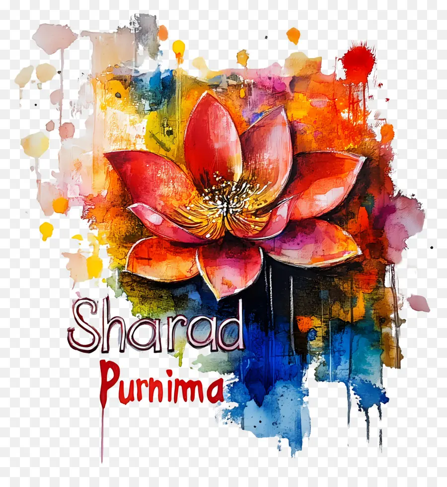 Sharad Purnima，Lotus Coloré PNG