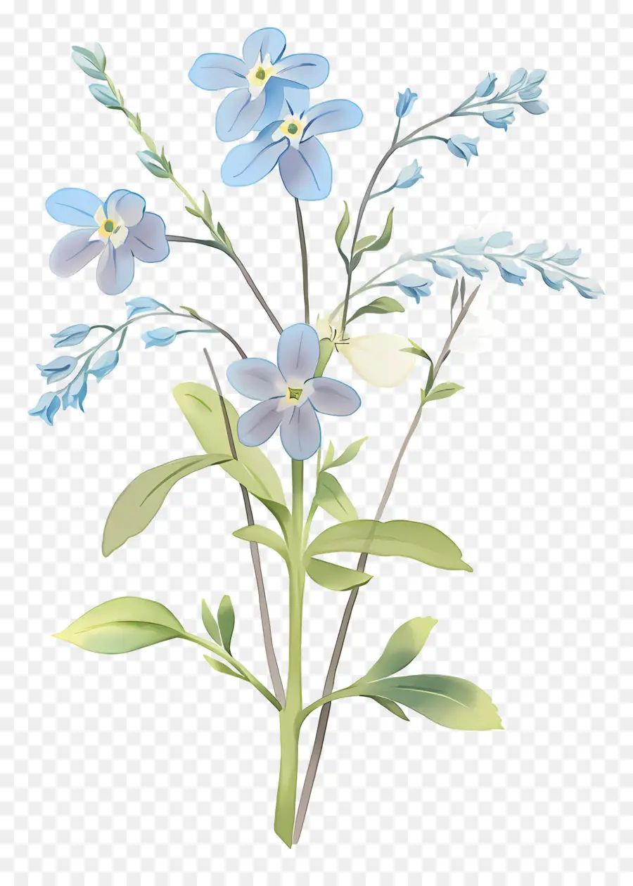 Ne M'oublie Pas La Fleur，Fleur Bleue PNG