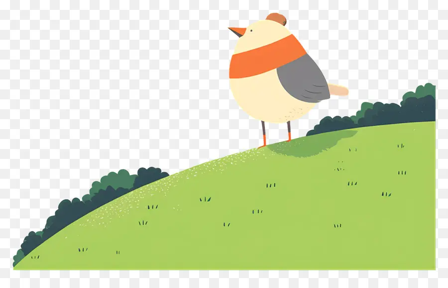 Oiseau De Dessin Animé，Oiseau Avec écharpe PNG