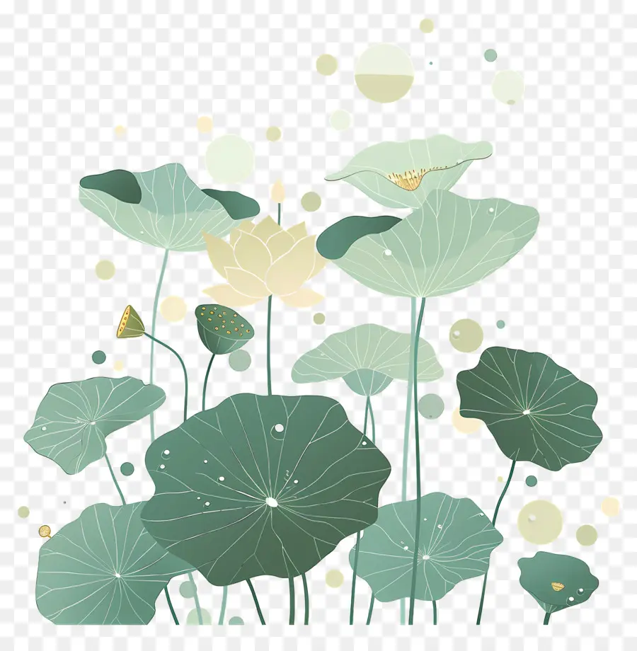 Feuilles De Lotus，Feuilles Et Fleurs De Lotus PNG