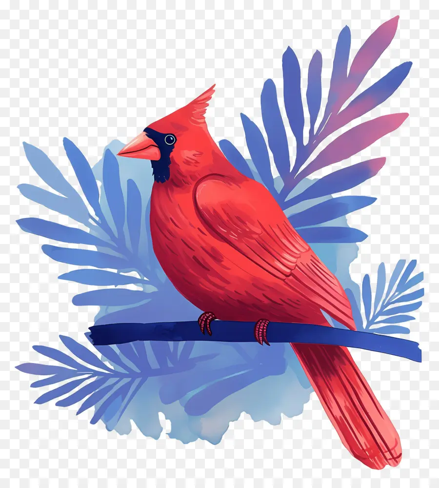 Oiseau D'hiver，Cardinal Rouge PNG