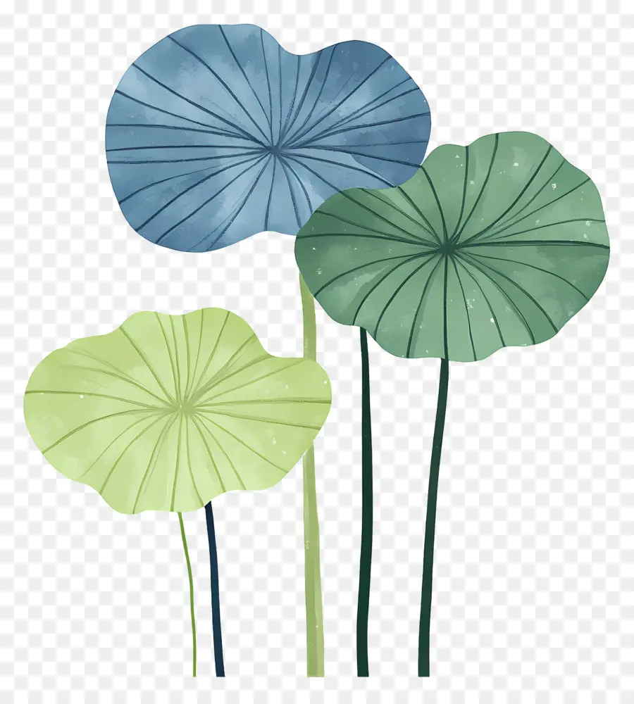 Feuilles De Lotus，Feuilles Colorées PNG