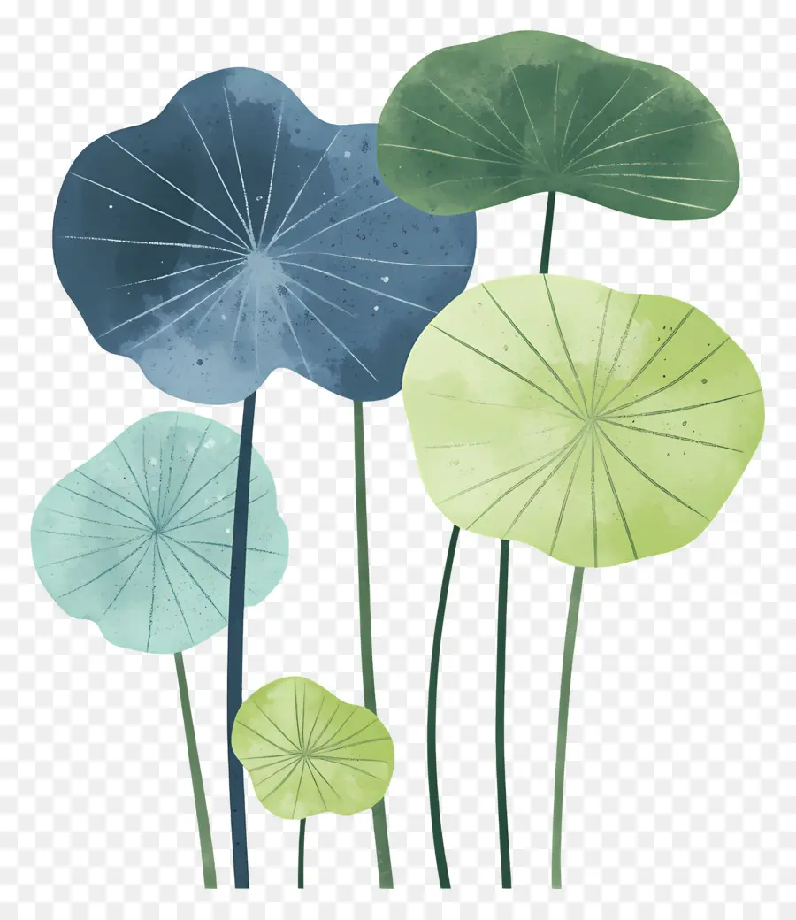 Feuilles De Lotus，Feuilles Colorées PNG