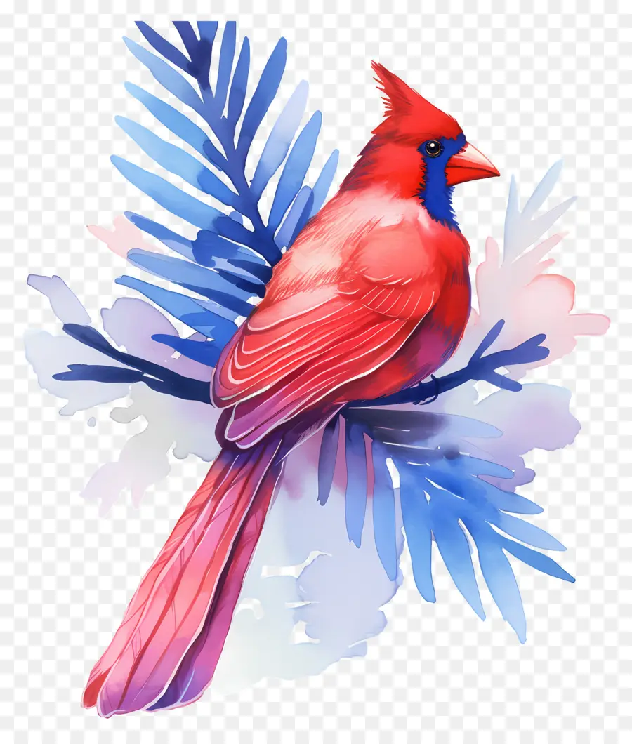 Oiseau D'hiver，Cardinal Rouge PNG