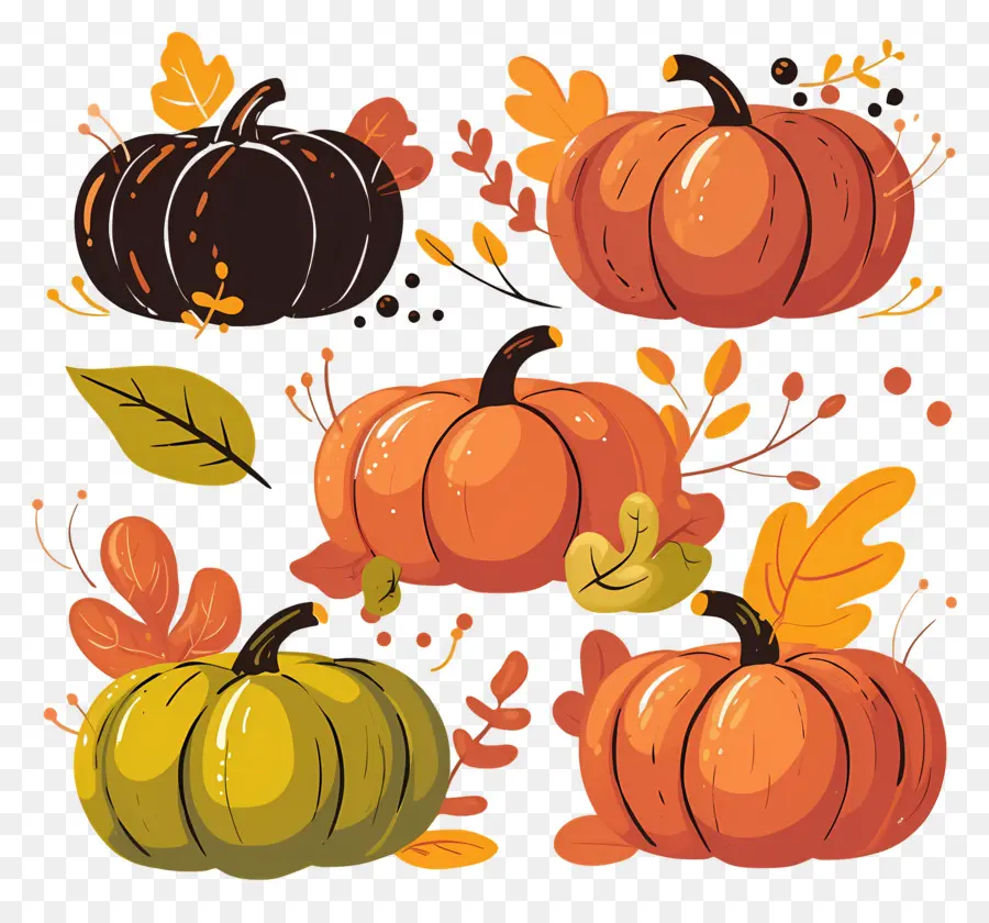 Citrouilles De Thanksgiving，Citrouilles PNG