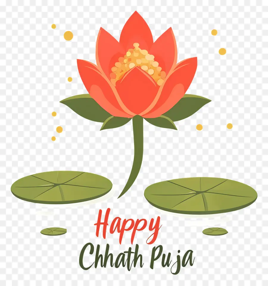 Joyeux Chhath Puja，Fleur De Lotus PNG