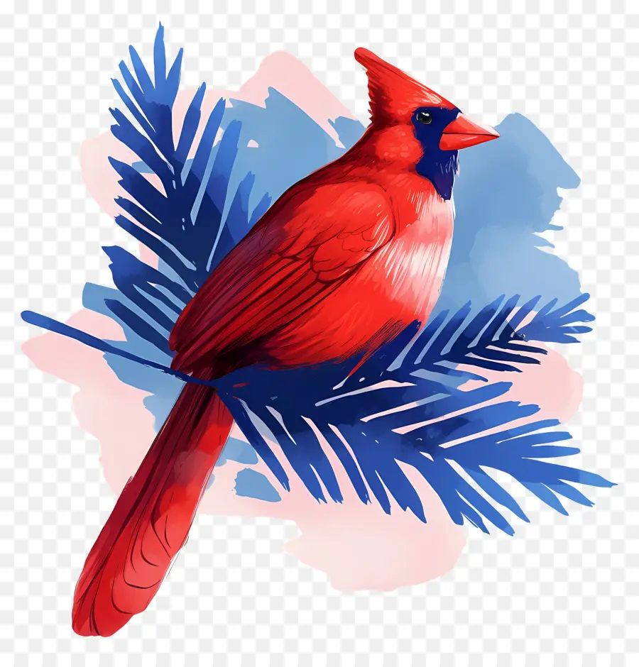 Oiseau D'hiver，Cardinal Rouge PNG