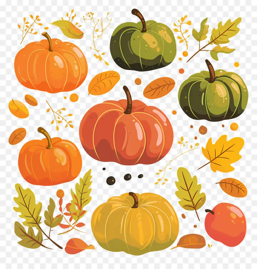 Citrouilles De Thanksgiving，Citrouilles PNG