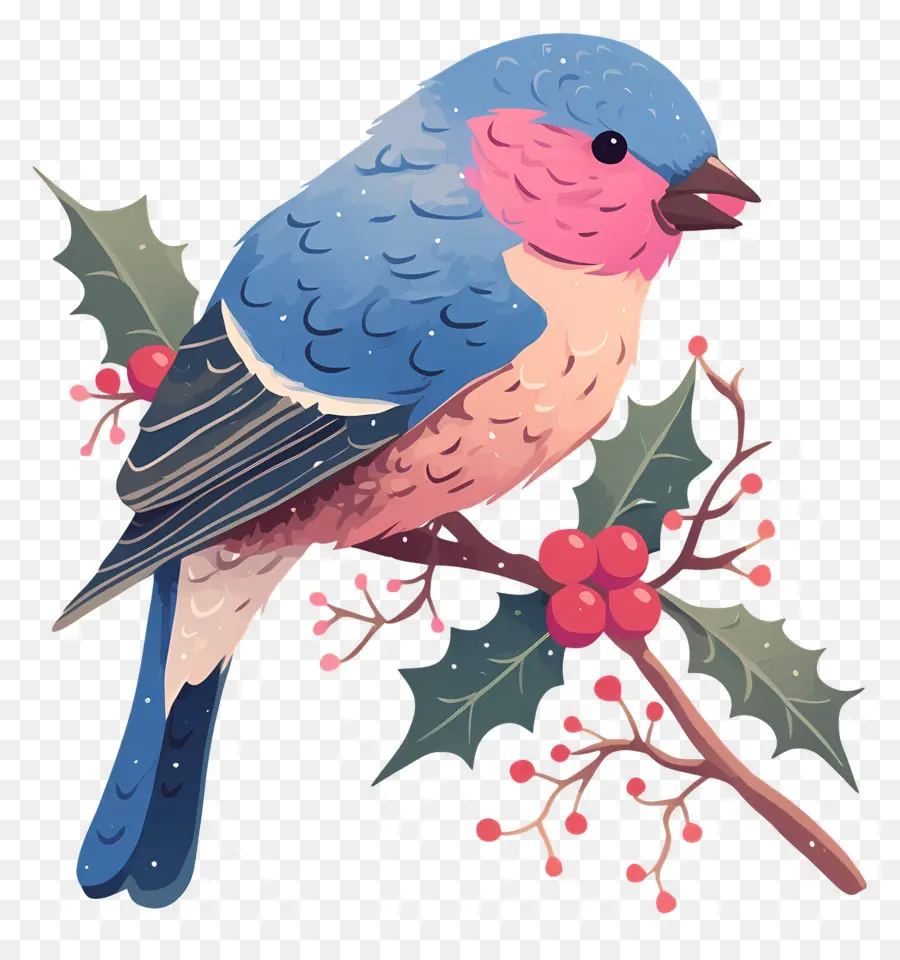 Oiseau D'hiver，Oiseau Bleu PNG