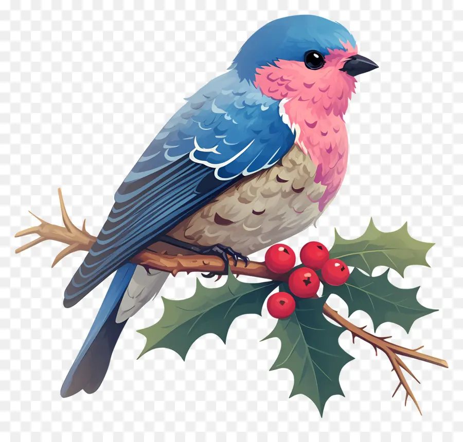 Oiseau D'hiver，Oiseau Bleu PNG