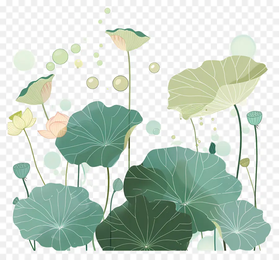 Feuilles De Lotus，Feuilles Et Fleurs De Lotus PNG