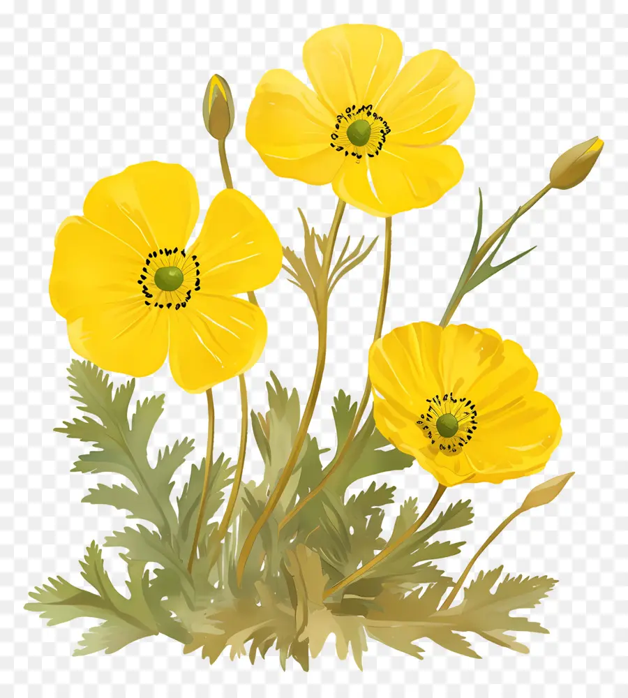 Fleur De Primevère，Fleurs Jaunes PNG