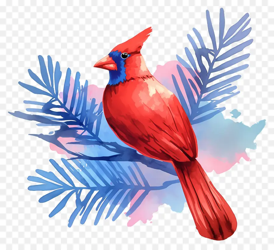 Oiseau D'hiver，Cardinal Rouge PNG