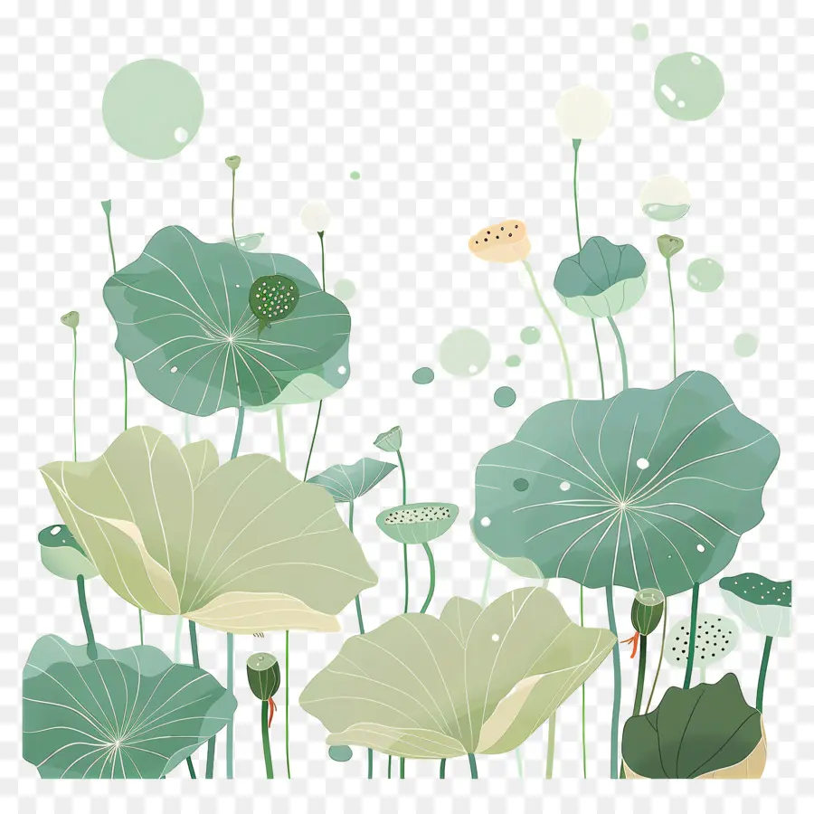 Feuilles De Lotus，Feuilles Et Fleurs De Lotus PNG