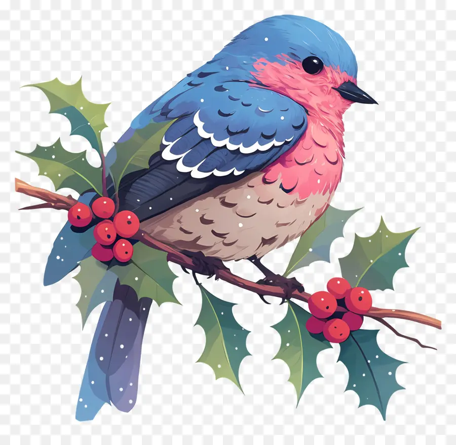 Oiseau D'hiver，Oiseau Bleu PNG