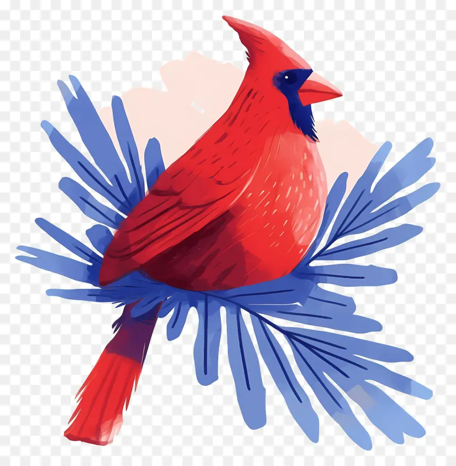 Oiseau D'hiver，Cardinal Rouge PNG