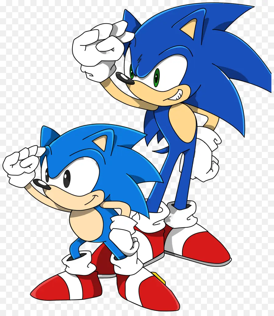 Sonic Le Hérisson，Personnage De Hérisson PNG