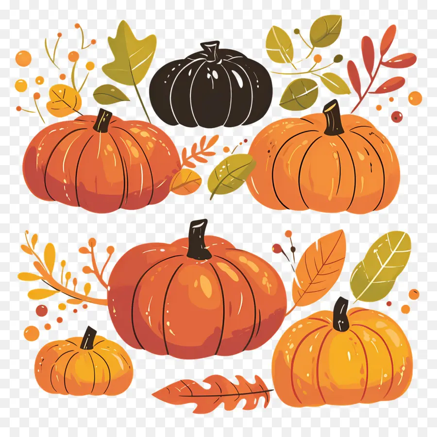 Citrouilles De Thanksgiving，Citrouilles PNG