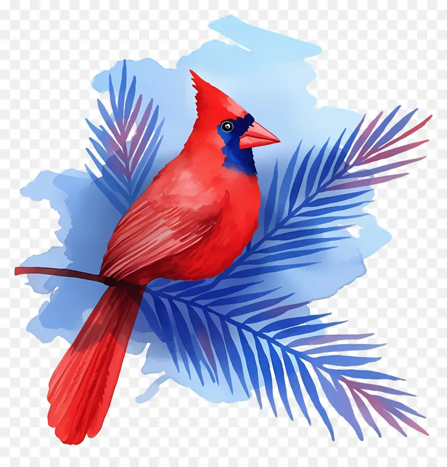 Oiseau D'hiver，Cardinal Rouge PNG