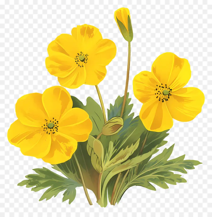 Fleur De Primevère，Fleurs Jaunes PNG