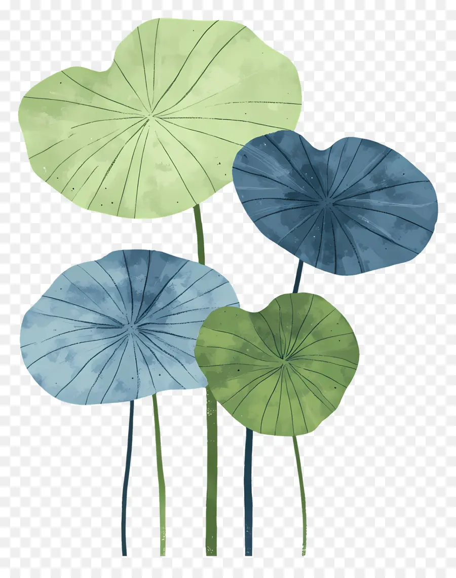 Feuilles De Lotus，Feuilles Colorées PNG