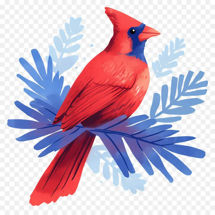 Oiseau D'hiver，Cardinal Rouge PNG