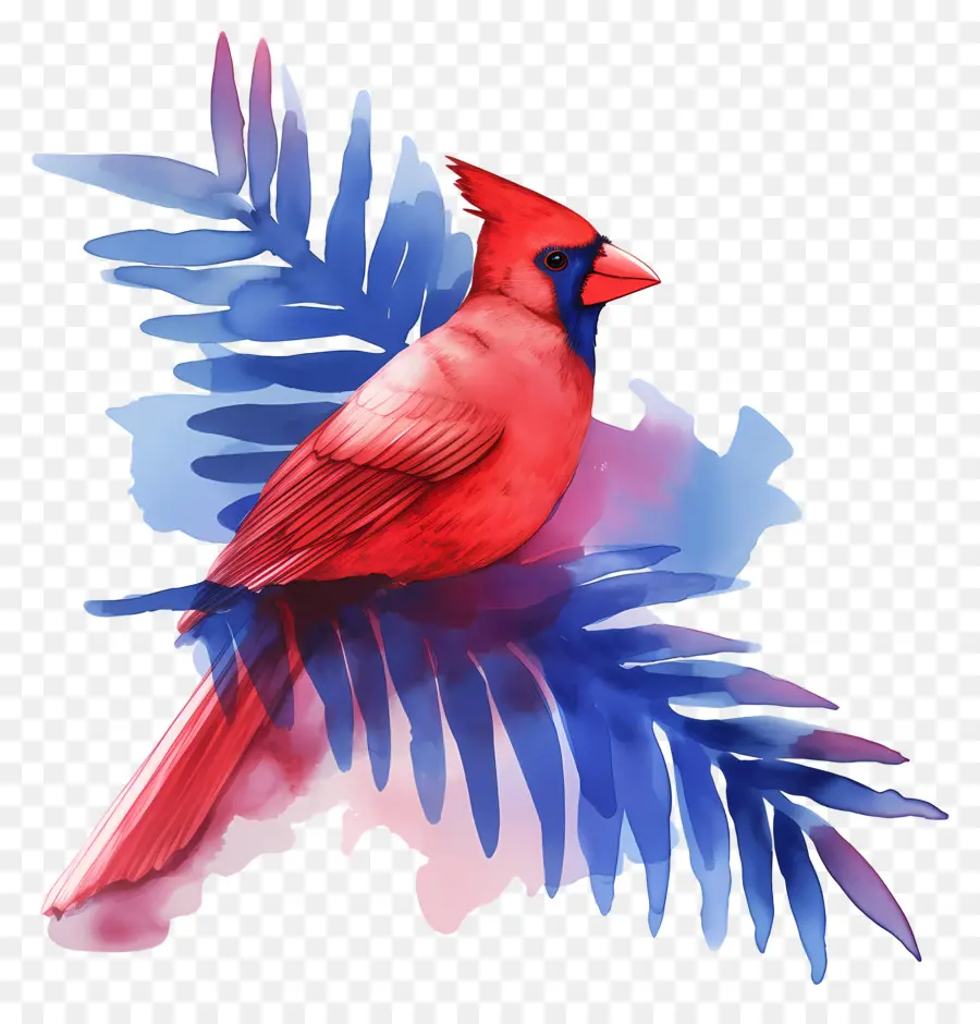 Oiseau D'hiver，Cardinal Rouge PNG