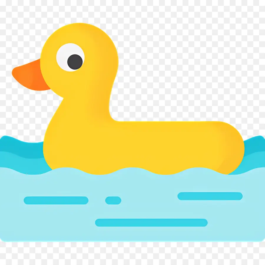 Piscine，Canard PNG