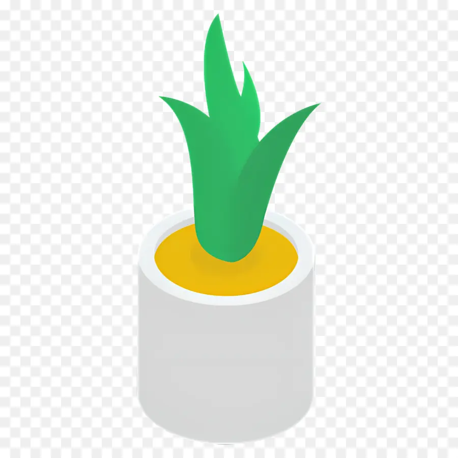 Aloe Vera，Plante En Pot PNG