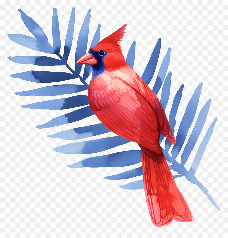 Oiseau D'hiver，Cardinal Rouge PNG